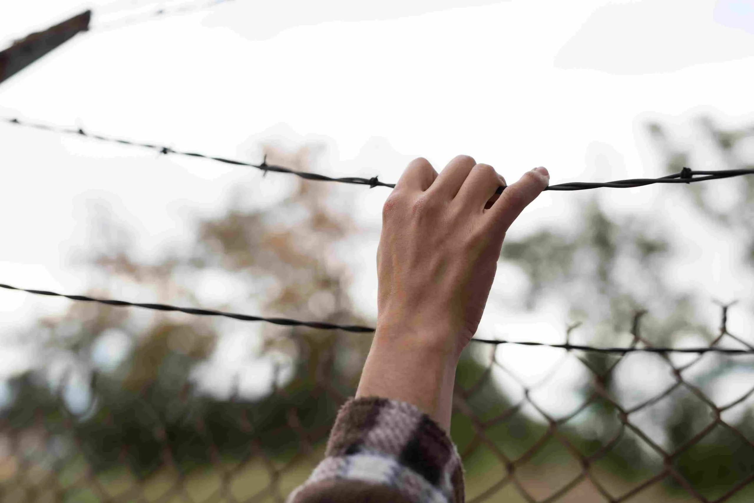 Go Stop Order – Mesa Family Immigration Lawyer